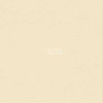 Линолеум Настенное покрытие Tarkett Wallgard Rolls White Yellow фото 1 | FLOORDEALER